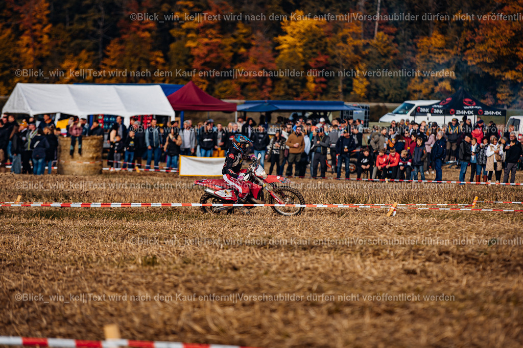 E68A8449 | blick_win_kel