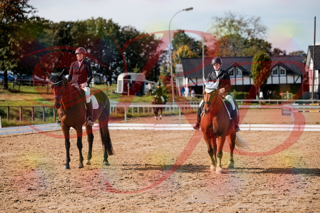 2026_10_03_Siefer-Hof_130534_Z63_68979153 | Professionelle Reitsport-, Turnier- und Eventfotografie von Robert Broda. Galerien mit ausgewählten und bearbeiteten Bildern direkt online ansehen und bestellen.