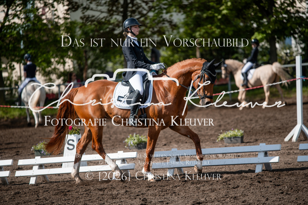 DSC_9354 | Christina-Kleuver