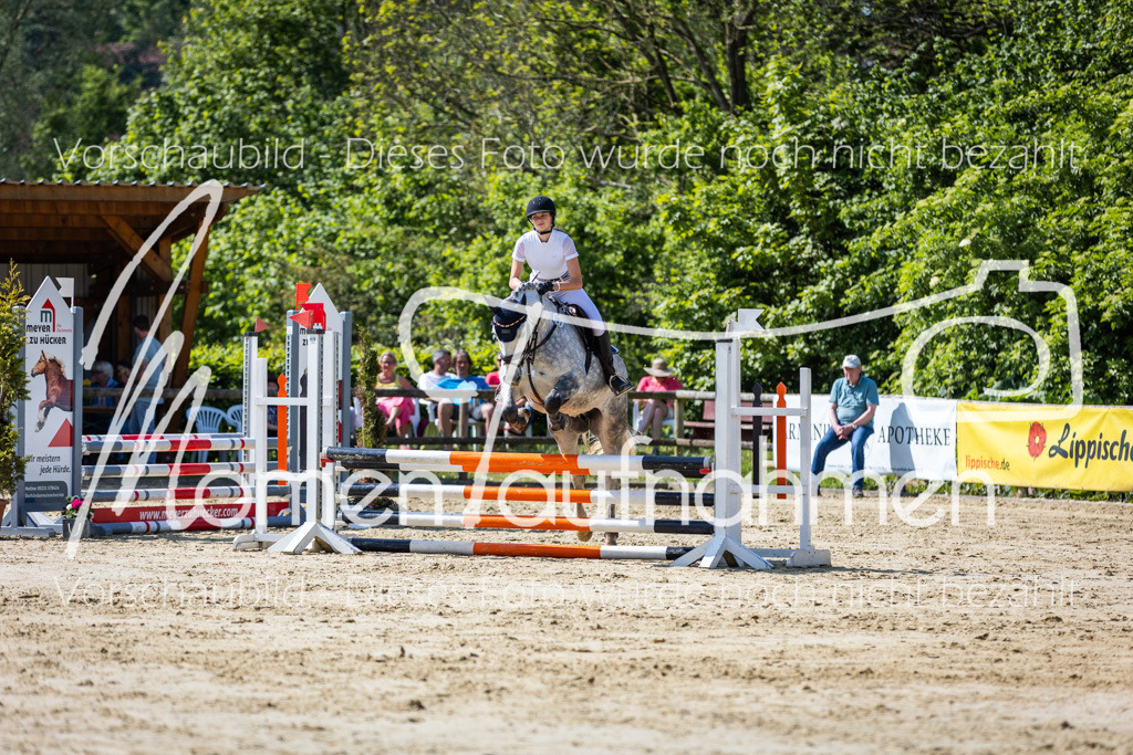 Donop24-ESpr-072 | MomenTaufnahmen Pferdesportfotos