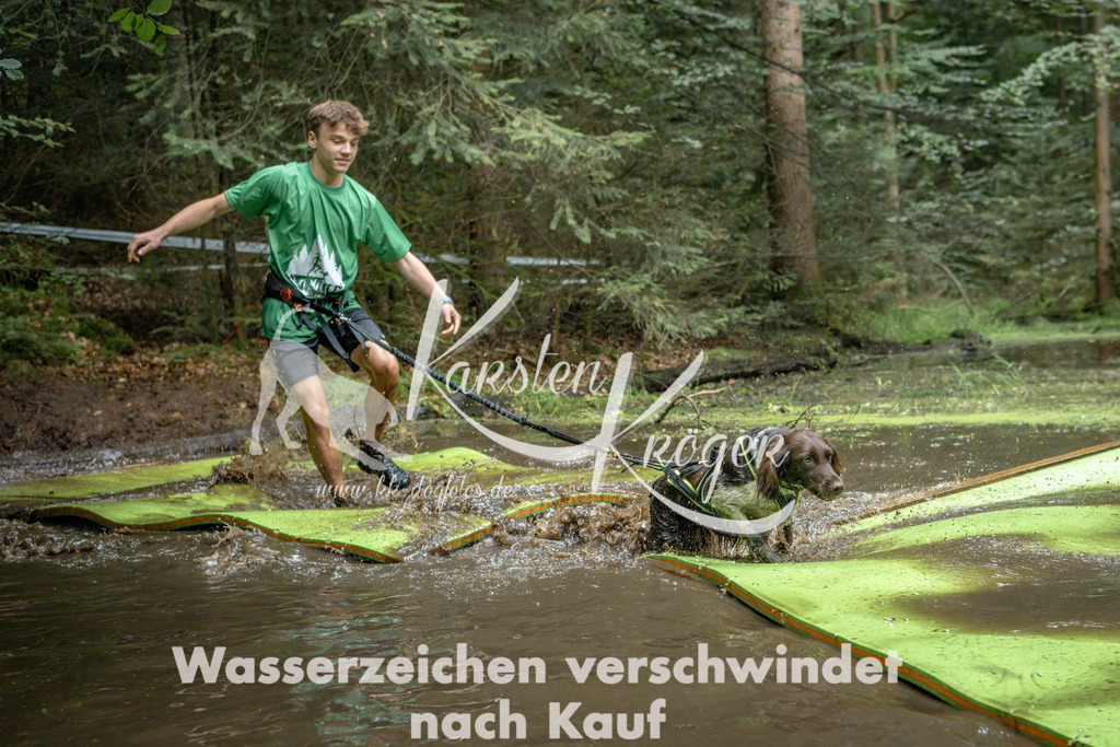 1528_ZZ90826-Bearbeitet | kk-dogfotos