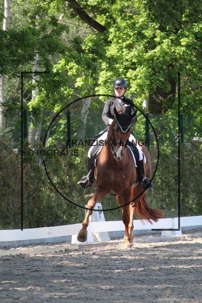 IMG_5110 | franziskalange - Realisiert mit Pictrs.com