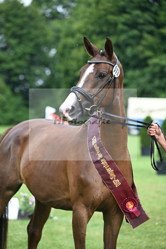 Kat-Nr. 18 Triys v. Chardonnay_Wimmer_27150668 | hf-fotografie - Realizzato con Pictrs.com