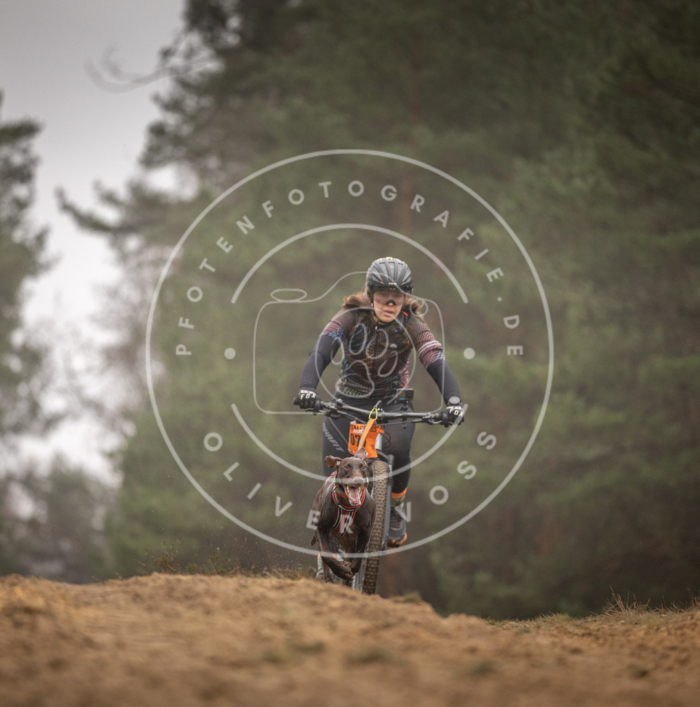 Pfotenfotografie_DV3A2703 | Hundefotografie, Tierfotograf, Pfotenfotografie, Fotoshooting Hund, Hunde Portrait, Hundesport, Hundeportraits, Heideshooting, Hunde, Sportfotograf, Hundefotograf, Turnierhundsport, THS,  - Realisiert mit Pictrs.com
