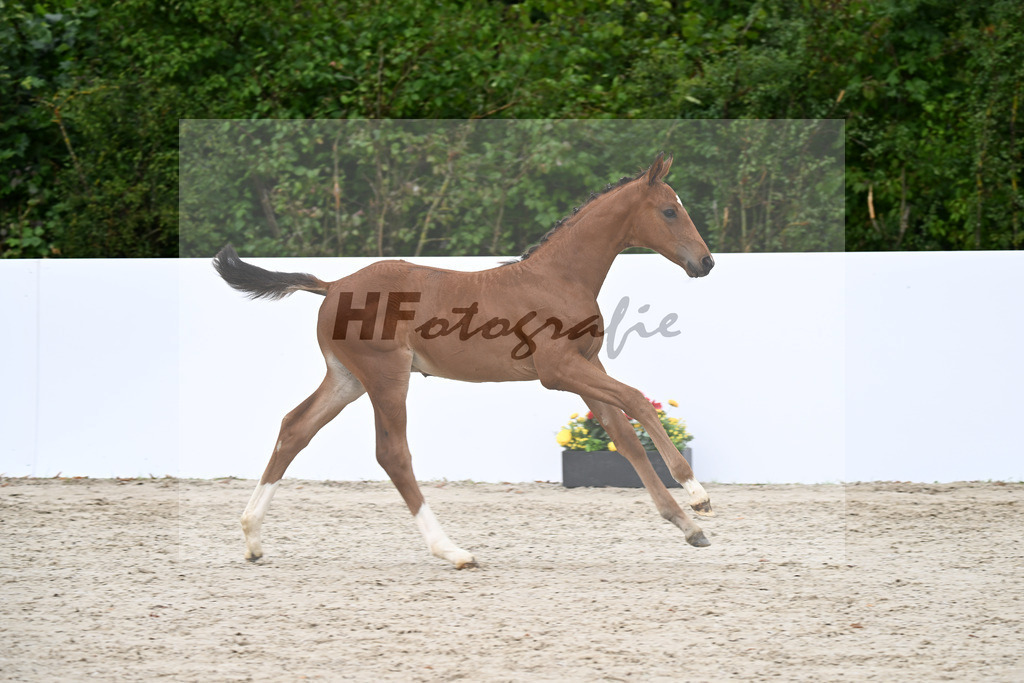 Vitalos x Escolar_HF_Maurer_23250528 | hf-fotografie - Realizzato con Pictrs.com