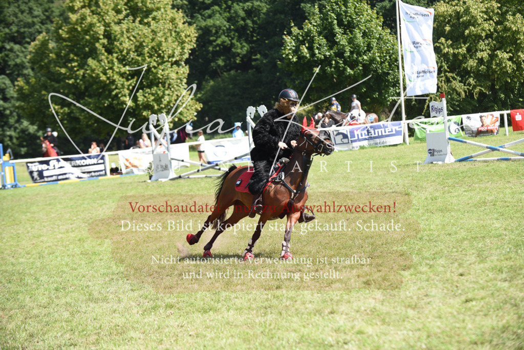 DSC_0313 | Pferde- und Turnierfotografie in Westsachsen. Pferdeportraits, Auftragszeichnungen und intuitive Kunst.