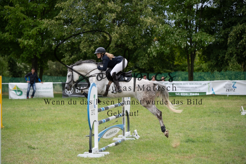 A7V06029 | Pferdefotograf