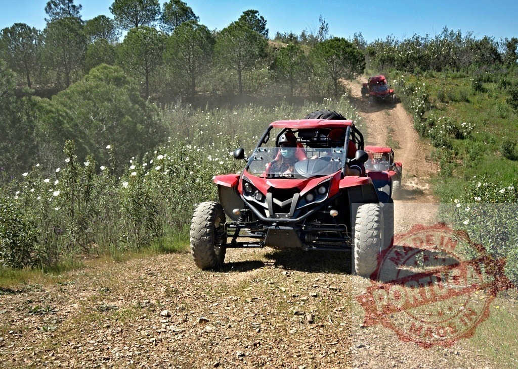 Red off-road buggy vehicle driving dirt trail in nature | Red buggy vehicles driving along a dusty off-road trail surrounded by green vegetation - Realisiert mit Pictrs.com