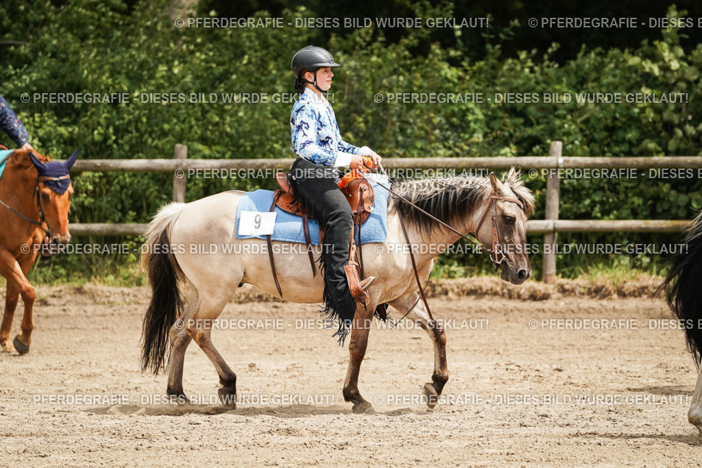 DSC08212 | Pferdegrafie