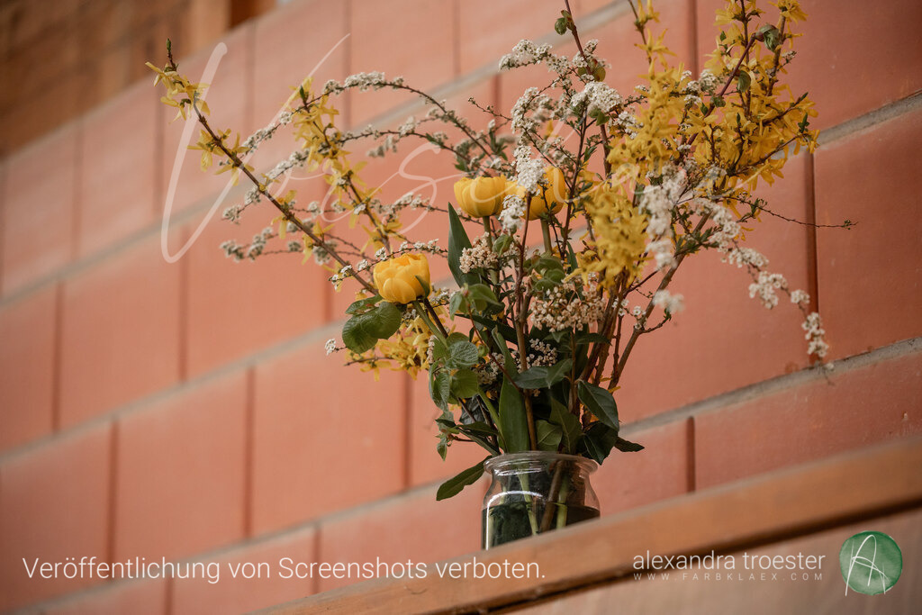250405_Barop_11_124 | farbklaex.com
