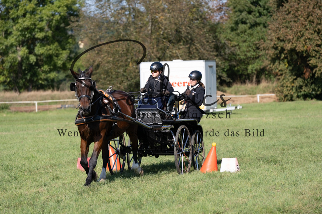 A7V04344 | Pferdefotograf