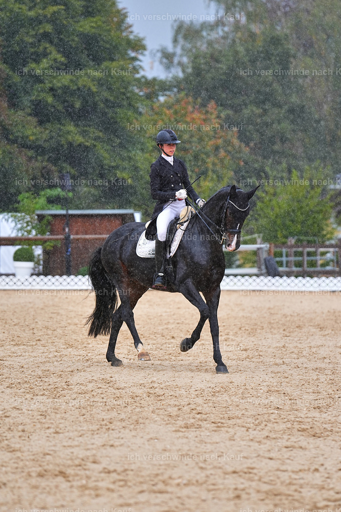 8_1-027-Klasse S_  -Marixx-4386 | working equitationturnier fotograf videograf stoibphotography marixx film working equitation deutschland reitsport turnierfotografie eventfotografie equestrian events