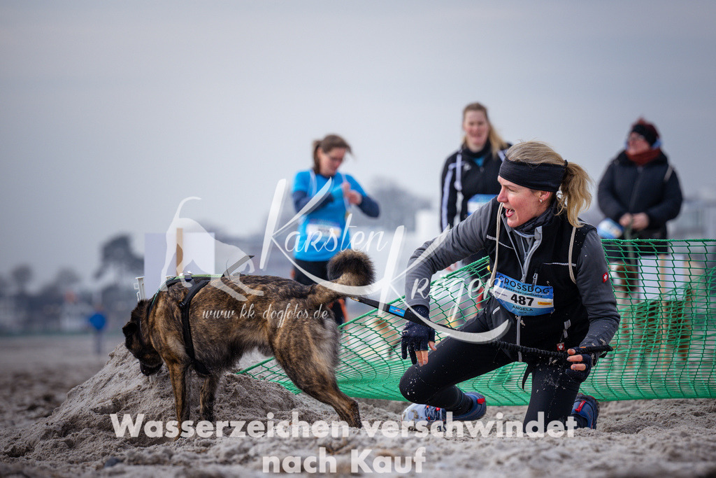 1134_ZZ99475 | kk-dogfotos