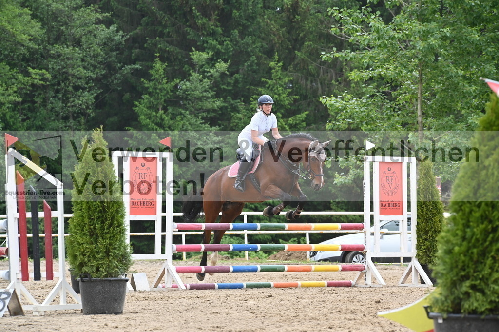 DSC_8439 | equestrian-live-com