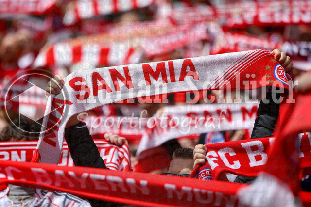 14.05.2026, GER, Fussball, Frauen, DFB-Pokal, Finale, Saison 2025/2026, VfL Wolfsburg - FC Bayern München | die Fans vom FC Bayern München mit Schals "Mia San Mia"