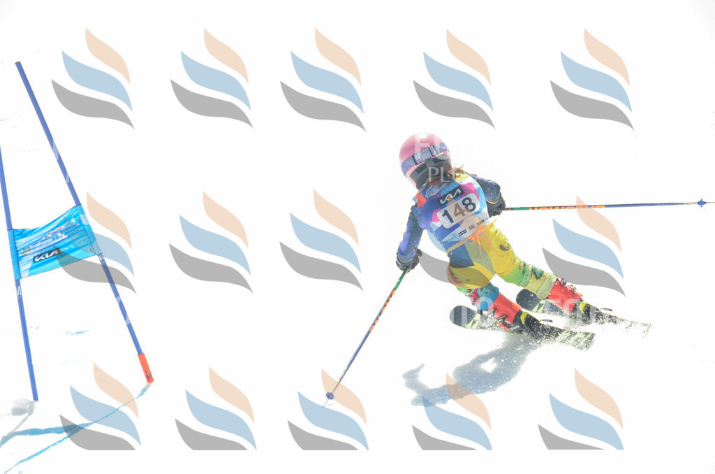 _ELE6290 | holidayphoto