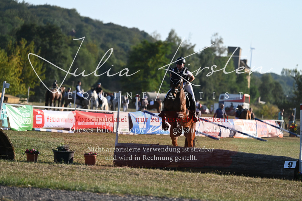 DSC_9155 | Pferde- und Turnierfotografie in Westsachsen. Pferdeportraits, Auftragszeichnungen und intuitive Kunst.