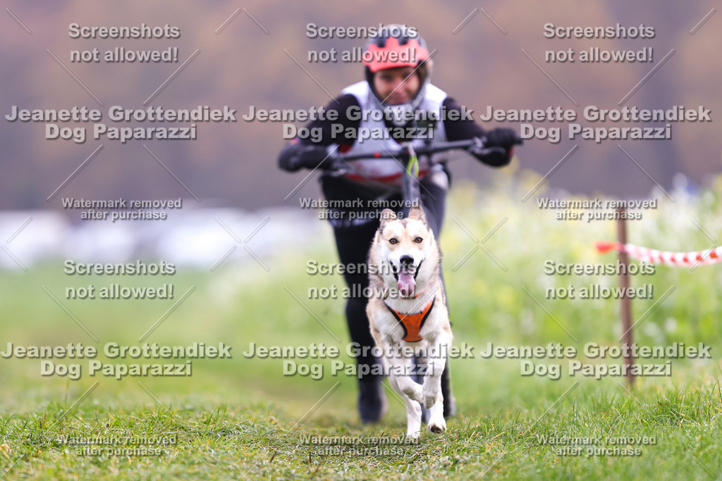 Dog Paparazzi - Visbeck 25 -292 | Dog Paparazzi Jeanette Grottendiek Fotografie & Videografie - Realisiert mit Pictrs.com