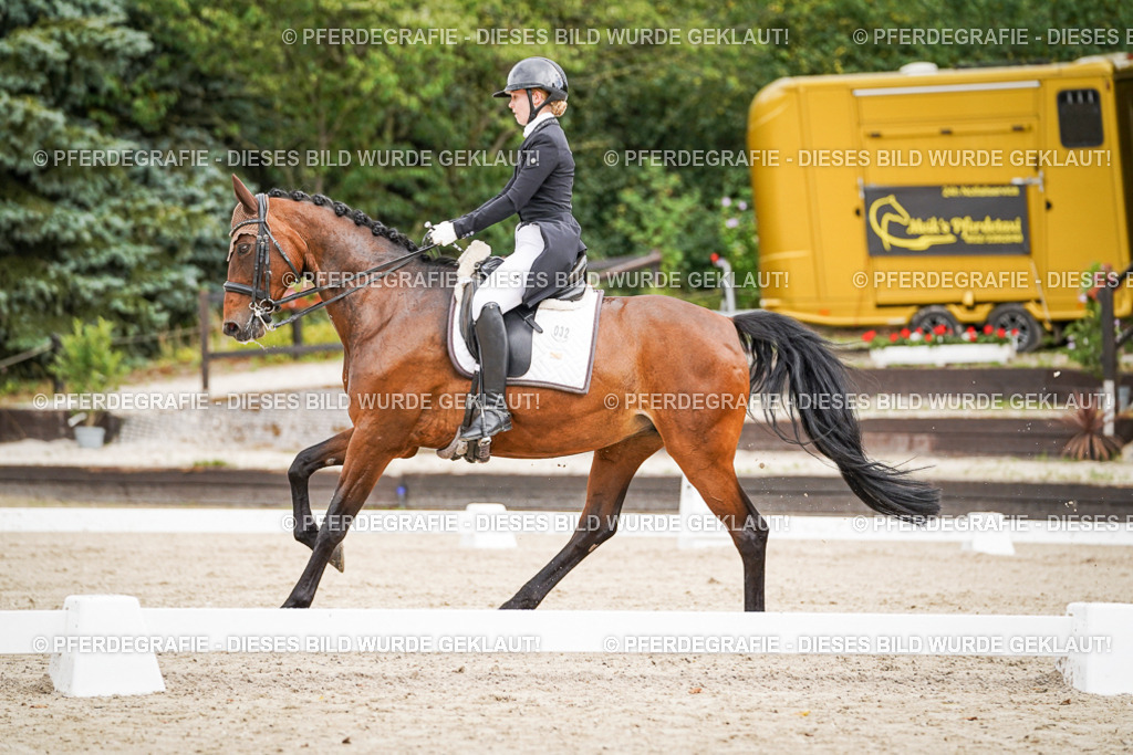 DSC05580 | Pferdegrafie