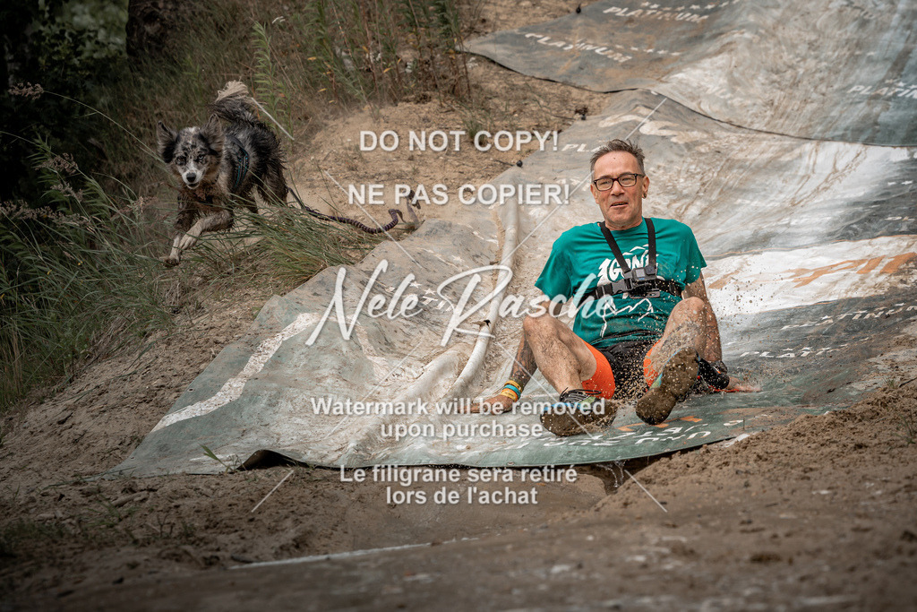 nelerasche_sa1230-1300_363 | nelerasche