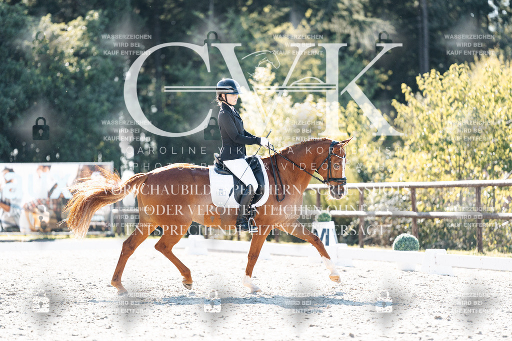 CK905995 | Turnierfotografie Pferdefotografie Trier Rheinland-Pfalz Pferdesport Reitsport Tierfotografie Sportfotografie Pferdevideo Pferdevideografie Equestrianvideography equestrianphotography  - Realisiert mit Pictrs.com