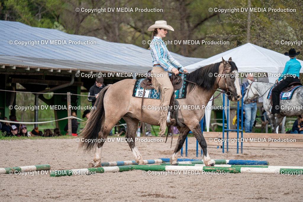 BAL02653 | dv-media-shop - Realisiert mit Pictrs.com