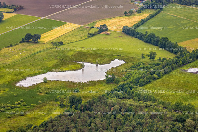 Dorsten220602873 | Luftbild, Teich im Hervester Bruch, Hervest, Dorsten, Ruhrgebiet, Nordrhein-Westfalen, Deutschland