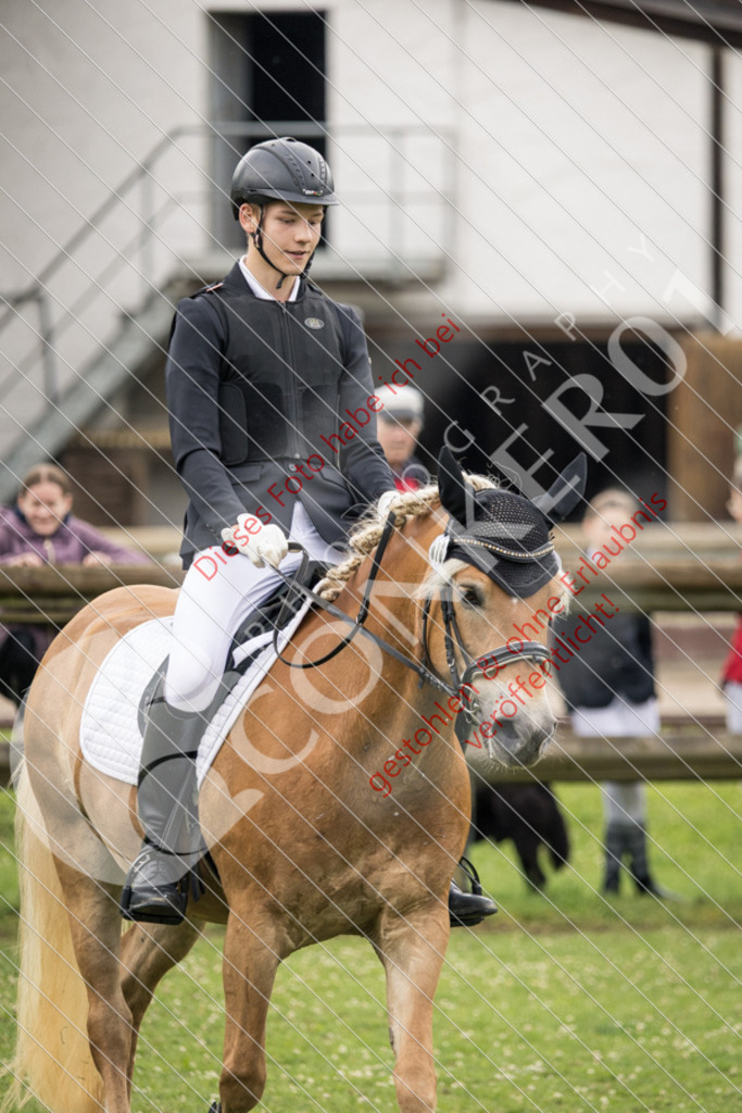 IMG_2418 | Sport-, Event- und Tierfotos in Profiqualität. Einfach auswählen, bestellen und herunterladen. Dein Moment – perfekt festgehalten.