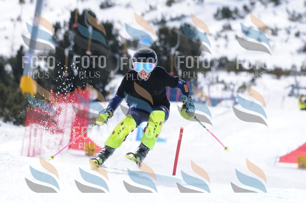 C9918 | holidayphoto