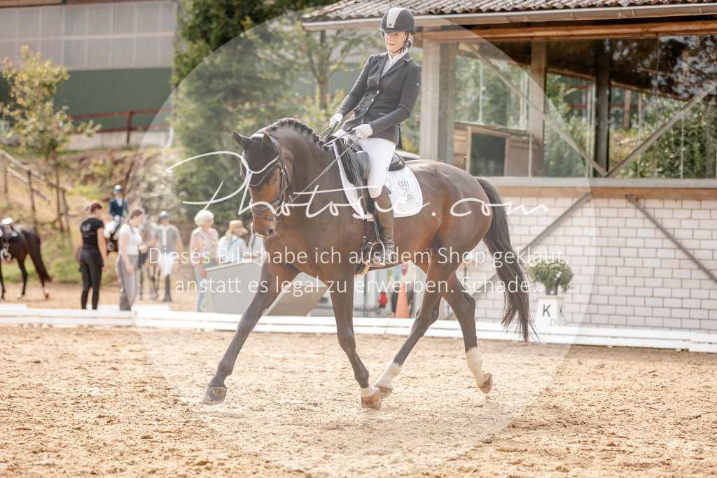 3I6A4136 | Stimmungsvolle Portraits und Reitsportfotografie im Ruhrgebiet und im Münsterland.

Pferdefotografie, Hundefotografie, Tierfotografie, Reportagen, Portraits von Tier und Mensch, Turnierfotografie in Bochum, Recklinghausen, Marl, Haltern am See, Dülmen.. - Realisiert mit Pictrs.com