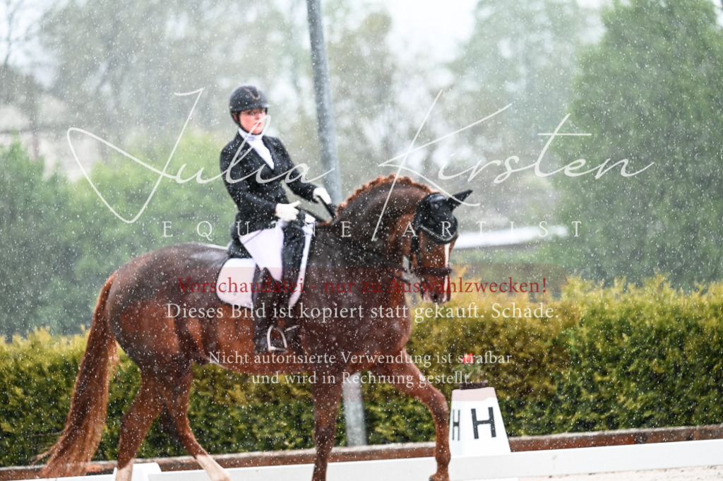 DSC_4102 | Pferde- und Turnierfotografie in Westsachsen. Pferdeportraits, Auftragszeichnungen und intuitive Kunst.
