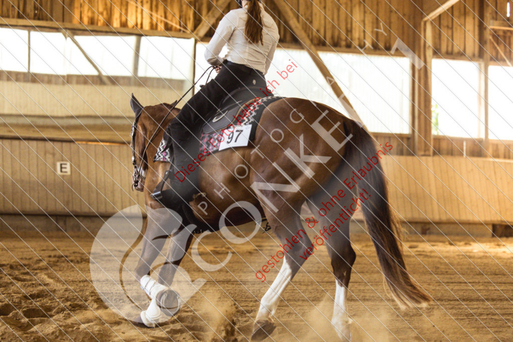 IMG_4941 | Sport-, Event- und Tierfotos in Profiqualität. Einfach auswählen, bestellen und herunterladen. Dein Moment – perfekt festgehalten.