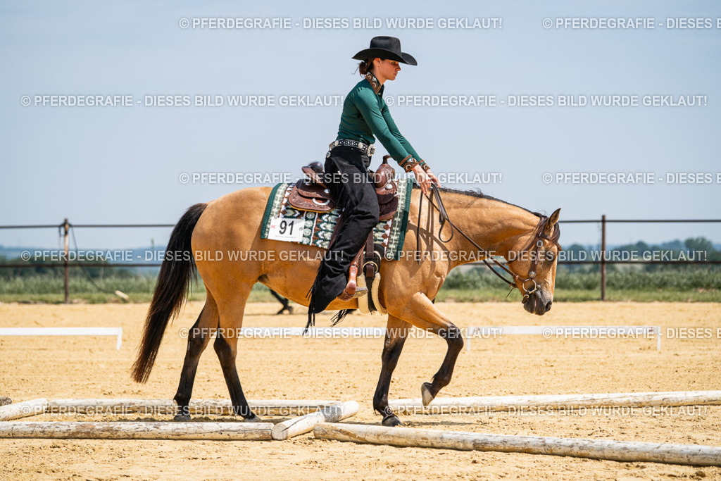 DSC01380 | Pferdegrafie