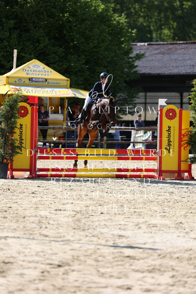 IMGS4853 | pl-fotografie