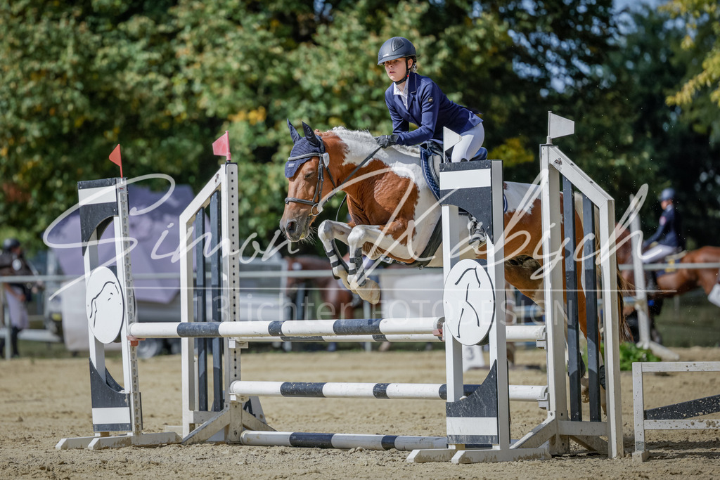 20250906-_3LI6127 | Tierfotografie Pferde, Hunde, Katzen, Haustiere.
Turnierfotografie Reitturniere, Reiten, Springreiten, Dressur in Hanau, dem Main-Kinzig-Kreis und dem Rhein-Main- Gebiet um Frankfurt