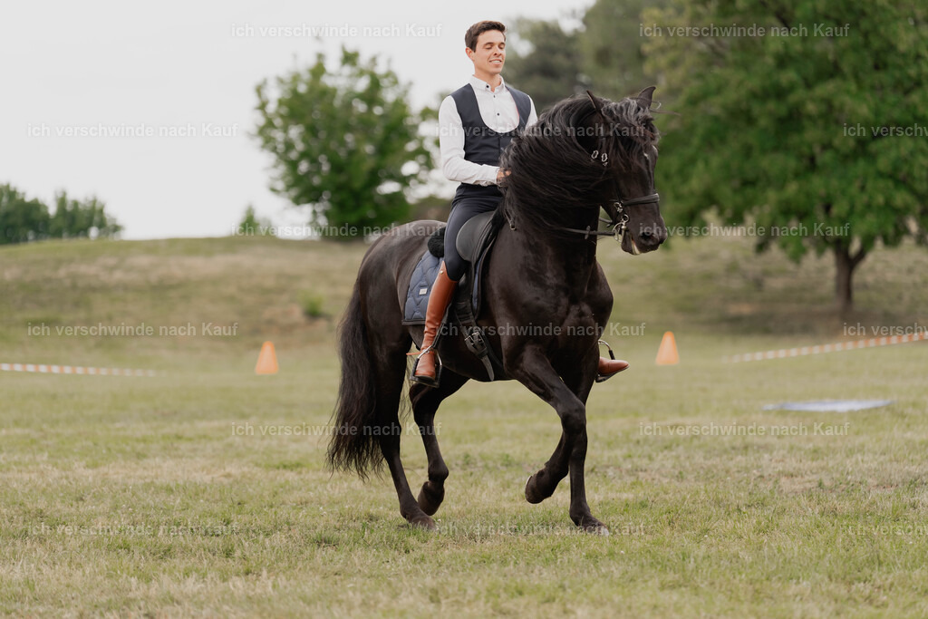Showprogramm-412 | working equitationturnier fotograf videograf stoibphotography marixx film working equitation deutschland reitsport turnierfotografie eventfotografie equestrian events