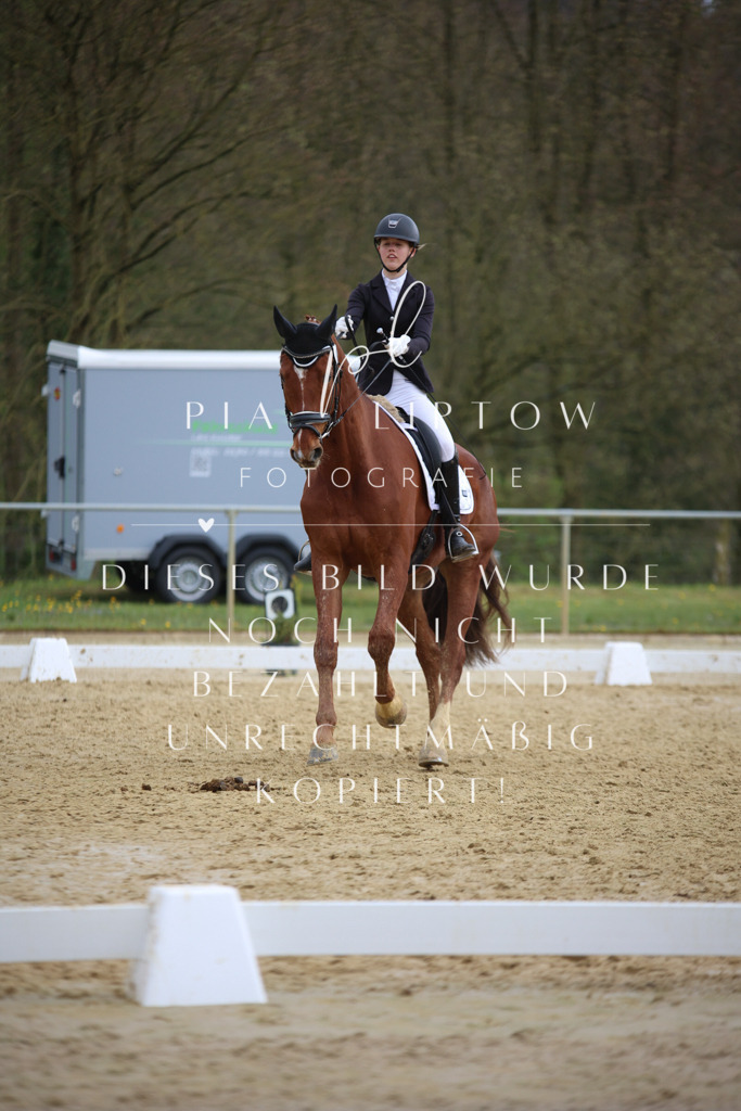 IMGT7342 | pl-fotografie