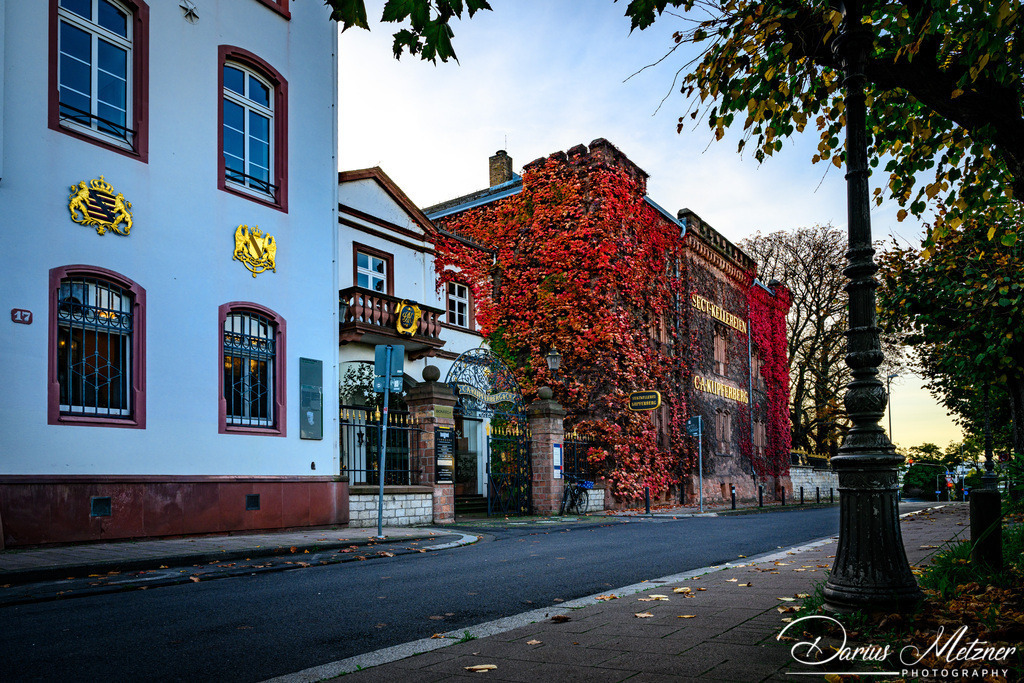 Die Kupferbergterasse in Mainz | Die Kupferbergterasse in Mainz