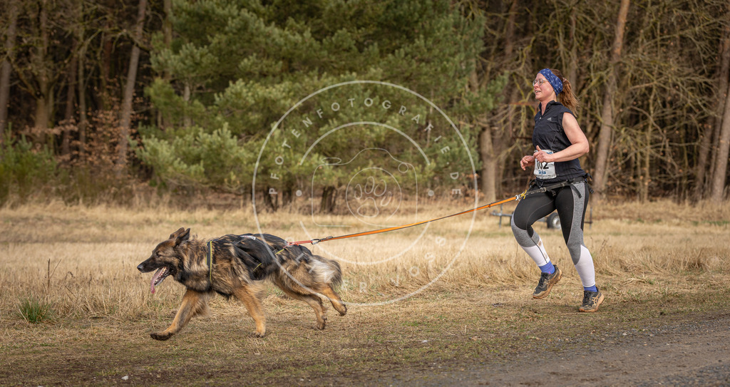 DV3A4085 | Hundefotografie, Tierfotograf, Pfotenfotografie, Fotoshooting Hund, Hunde Portrait, Hundesport, Hundeportraits, Heideshooting, Hunde, Sportfotograf, Hundefotograf, Turnierhundsport, THS,  - Realisiert mit Pictrs.com