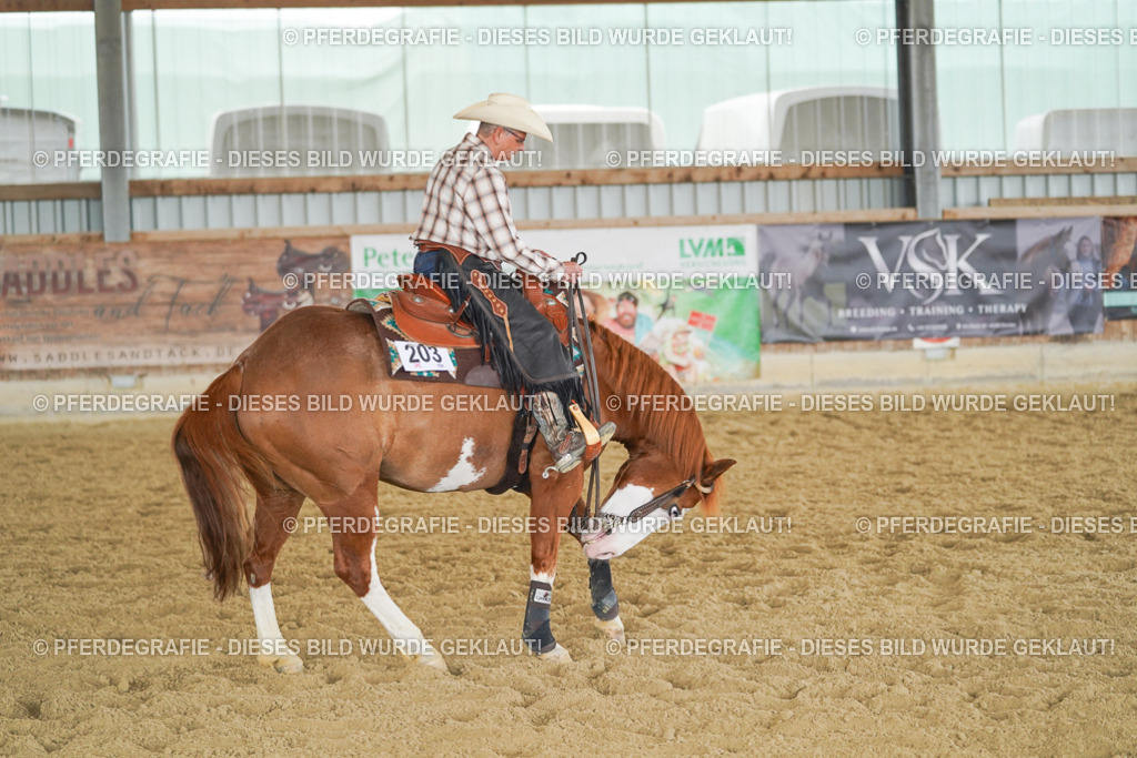 DSC04132 | Pferdegrafie