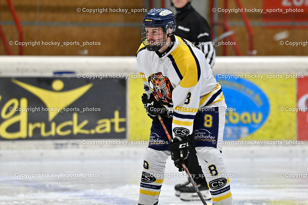 EC Tigers Paternion vs. Tarco Wölfe II | #8 Ortner Sandro EC Tigers Paternion, EC Tigers Paternion vs. Tarco Wölfe II, EC Tigers Paternion vs. Tarco Wölfe II am 19.12.2024 in Spittal an der Drau (Eissportzentrum Spittal), Austria, (Photo by Bernd Stefan)