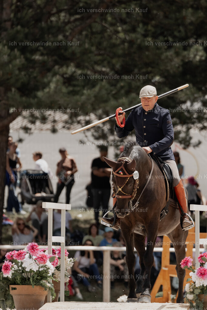WE_ST_Stoib_320_PI2025_1105 | Pferd International München 2025