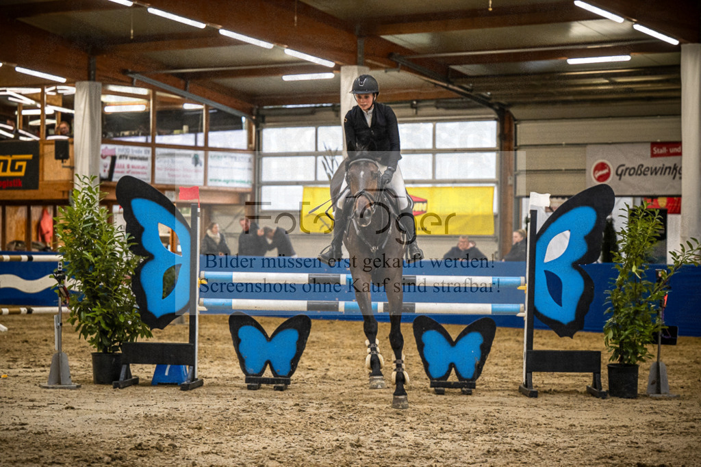 DOS_B1115 | Entdecke hochwertige Reitturnierfotos von Foto Oger. Professionell, emotional und authentisch – jetzt Lieblingsmomente im Shop bestellen.Deutschlandweite Turnierfotografie. - Realisiert mit Pictrs.com