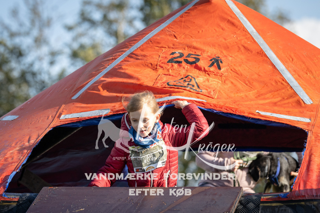 1438-94662 | kk-dogfotos