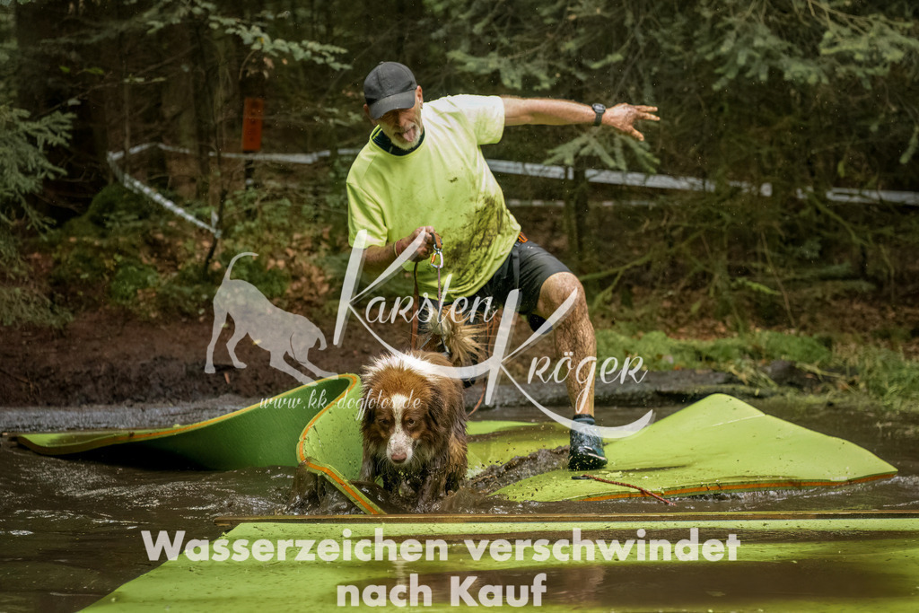 1231_ZZ90028-Bearbeitet | kk-dogfotos