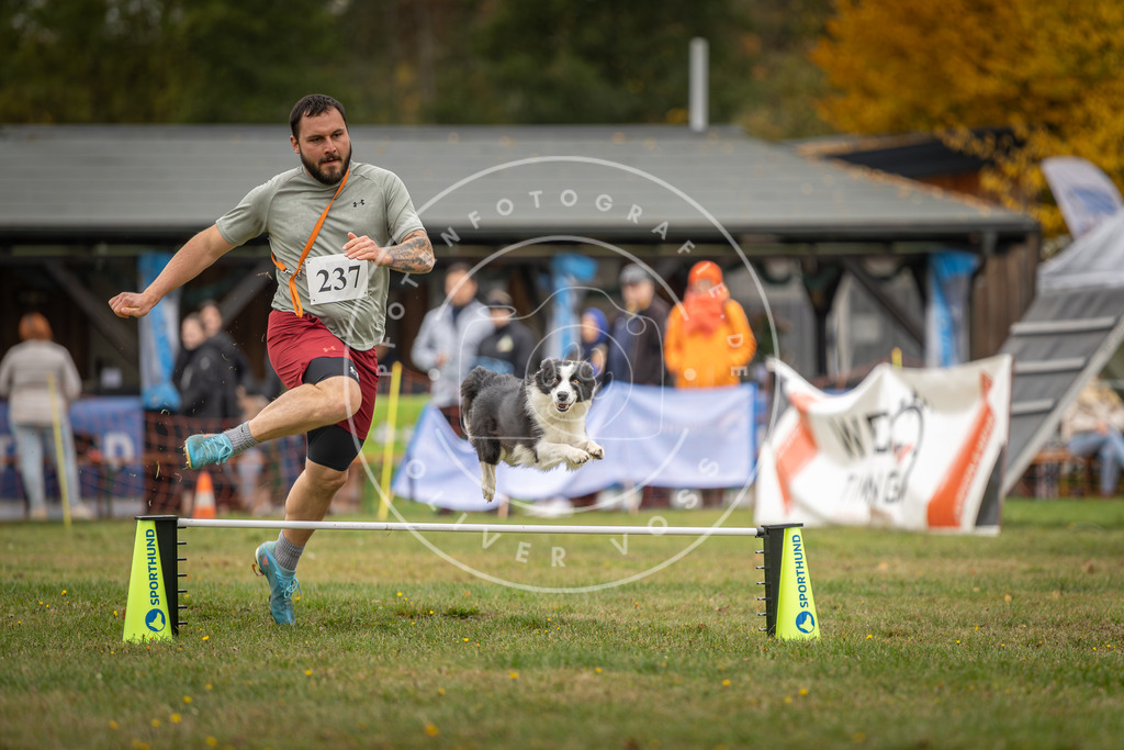 Pfotenfotografie_DV3A4924 | Hundefotografie, Tierfotograf, Pfotenfotografie, Fotoshooting Hund, Hunde Portrait, Hundesport, Hundeportraits, Heideshooting, Hunde, Sportfotograf, Hundefotograf, Turnierhundsport, THS,  - Realisiert mit Pictrs.com