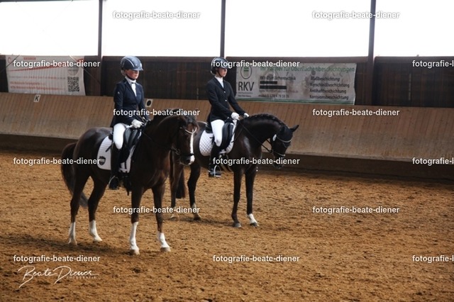 JugendTrophy0291 | Fotografie, Tiere, Hunde, Katzen, Pferde, Sportfotografie, Fotosession, Tierfotografie, Turnierfotografie, Fotografin, Fotograf - Realisiert mit Pictrs.com