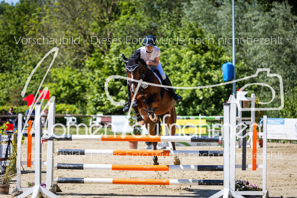 Donop24-L-Spr-034 | MomenTaufnahmen Pferdesportfotos