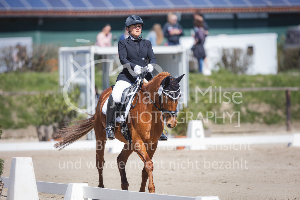 220418_L-Dressur-241 | Frühlingsfest der Pferde
Herford
18.April 2022
Dressurprfg. Kl.L* - Tr. L2ausw. geschlossen