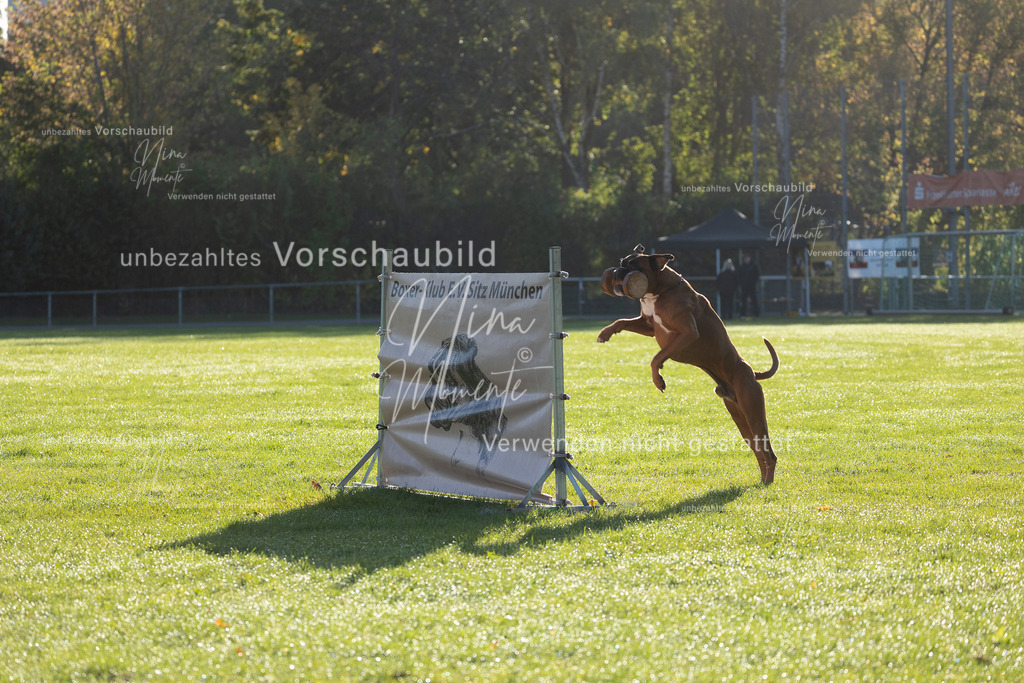 _16A6280 | Einzigartige Fotos von Hunden & Menschen –Actionfotos, Portraits, Vereinsaufnahmen & Paarshootings – authentisch, lebendig & mit Herz.